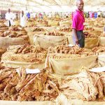 Malawi records $1.6bn trade gap in 7 months – The Times Group