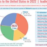 Malawi ponders future post-Agoa - Nation Online