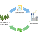 Project to boost Malawi's carbon market on cards