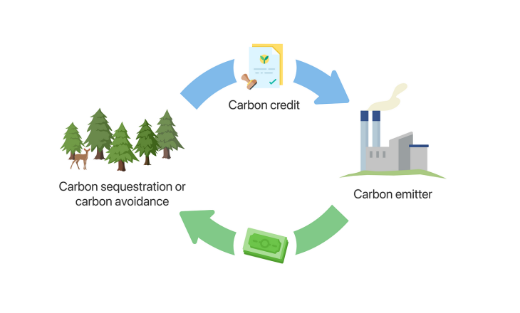 Project to boost Malawi's carbon market on cards
