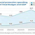 Malawi’s social protection value on the decline—UN