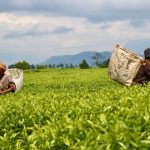 Mixed views on US Agoa expiry
