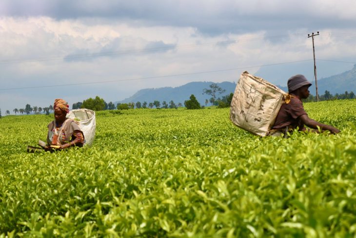 Mixed views on US Agoa expiry