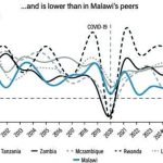 Malawi economy loses ground to peers—IMF