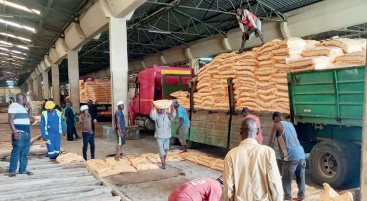 World bank facility  unlocks key imports