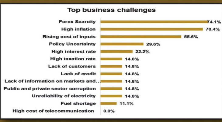 Firms’ production capacity declines - Nation Online