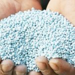 Maize production costs worry experts – The Times Group