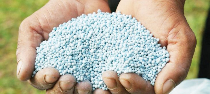 Maize production costs worry experts – The Times Group