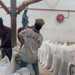 Maize prices stabilize in September