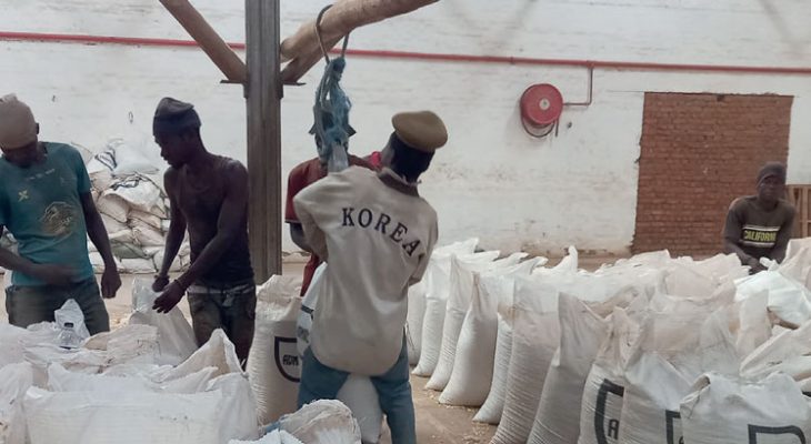 Maize prices stabilize in September