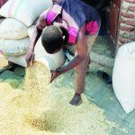 K1 trillion spent on maize in 5 years – The Times Group