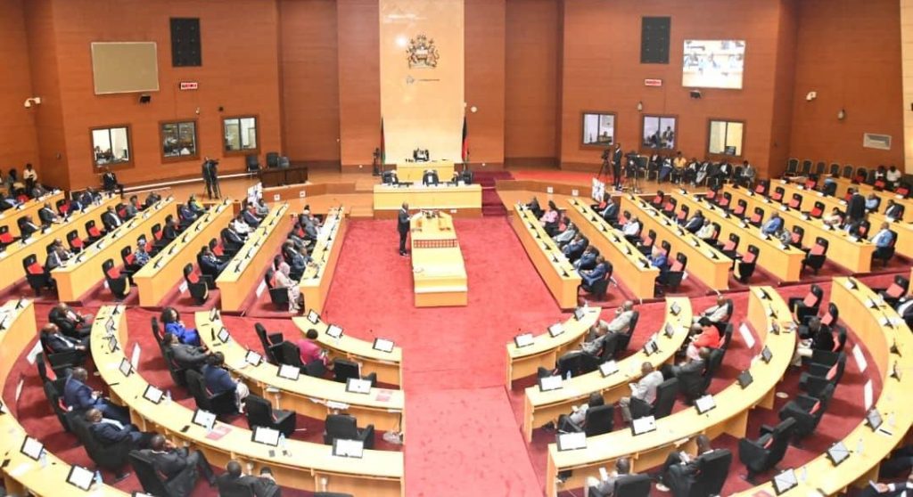 Budget faces litmus test - Nation Online