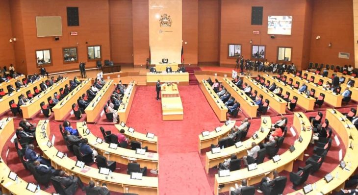 Budget faces litmus test - Nation Online