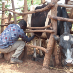 Malawian firms’ access to credit still low—think-tank