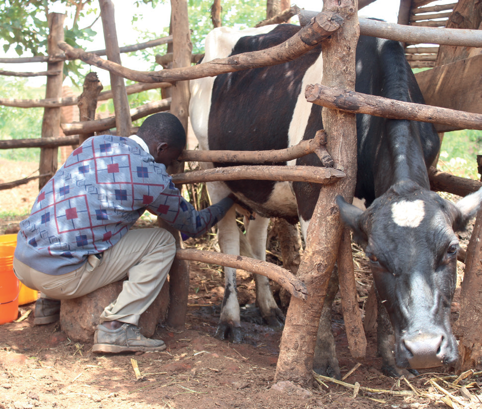 Malawian firms’ access to credit still low—think-tank