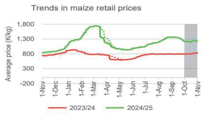 Pressure on maize declines - Nation Online