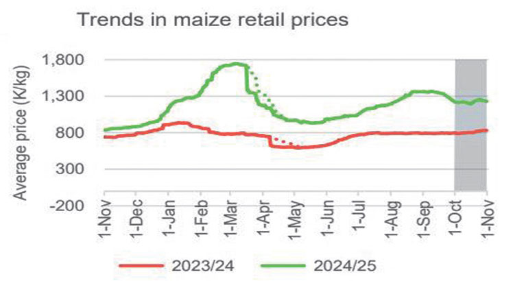 Pressure on maize declines - Nation Online