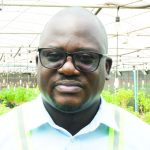 Forex woes hit cannabis trade – The Times Group