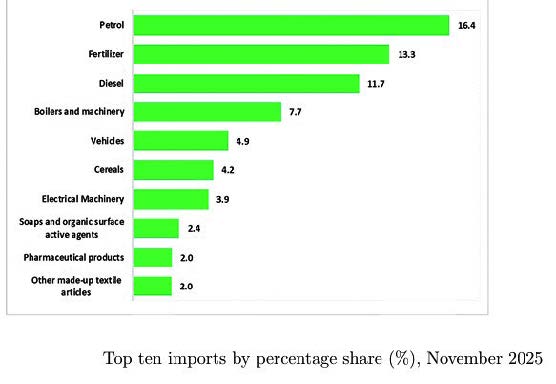 Trade deficit widens 20% in 11 months—NSO