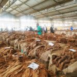 Tobacco rakes in $542 million – The Times Group