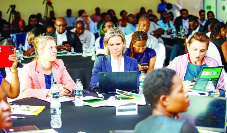 UNDP, KfW in fresh push for climate-resilient economy – The Times Group