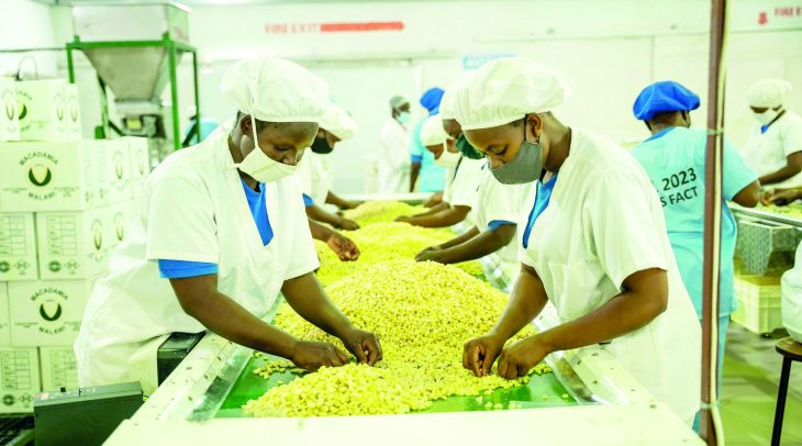 Private sector gasps for air – The Times Group