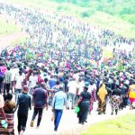 The year businesses fought to stay afloat – The Times Group