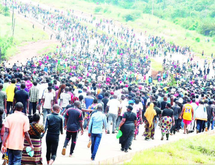 The year businesses fought to stay afloat – The Times Group