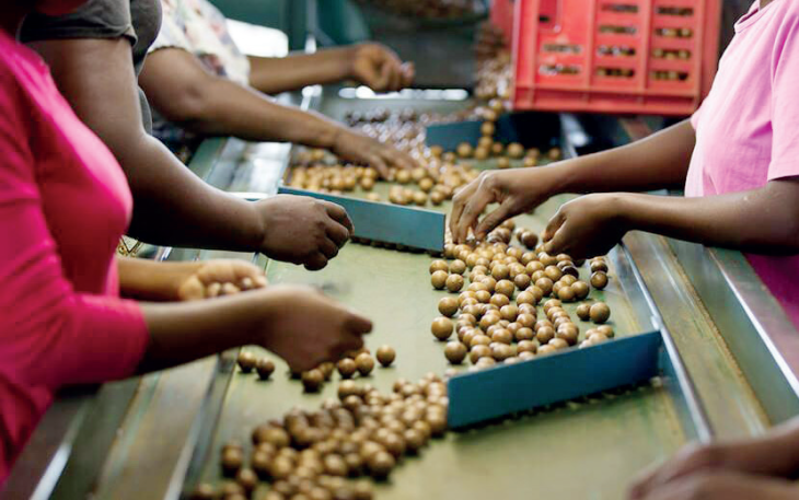 Malawi’s produce exports continue to stagnate—Mitc