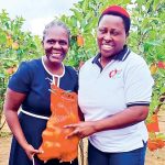 Farm ventures into large-scale apple production