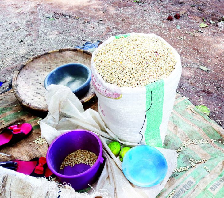 Disparities in maize prices – The Times Group