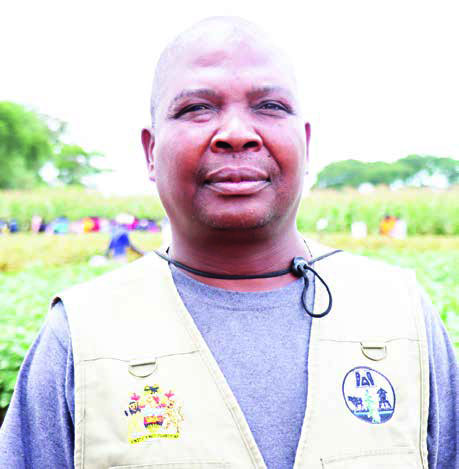 Innovation could unlock agriculture sector potential – The Times Group