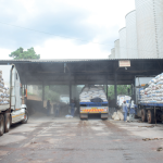 Maize prices up 13%in February—report