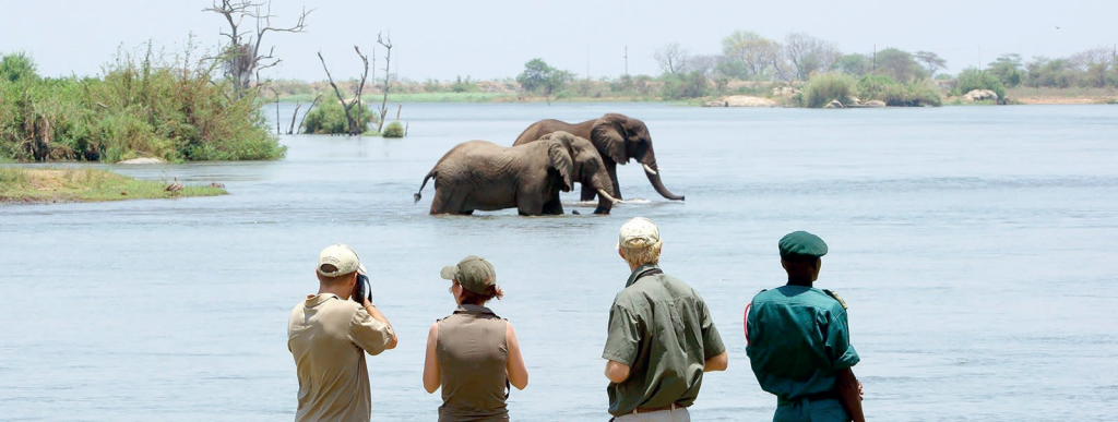 Tourism sector rebounds,set to hit K1tn revenue