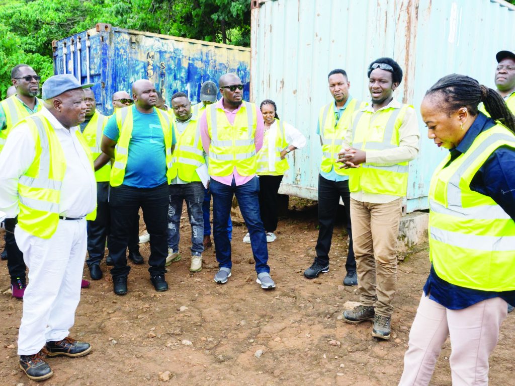 Mkango plans to invest $400m in Songwe Rare Earth Mine – The Times Group