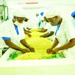 Local exporters offered lifeblood – The Times Group