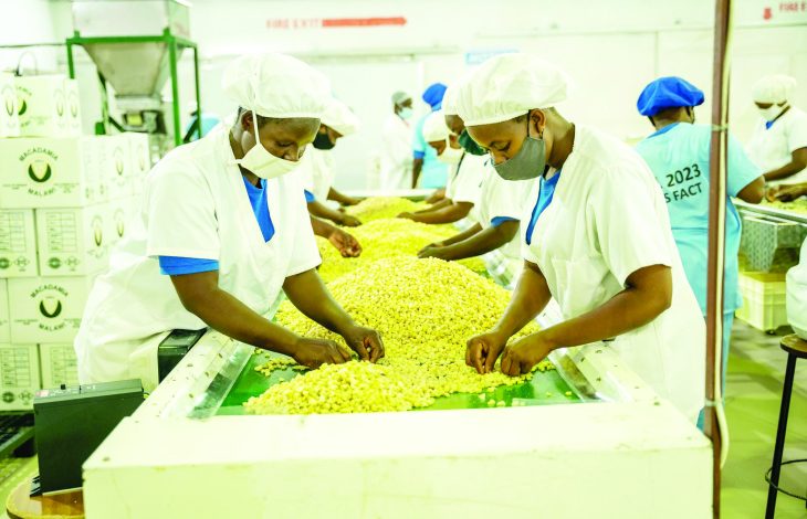 Local exporters offered lifeblood – The Times Group