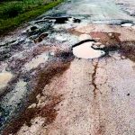 Shocks threaten growth prospects – The Times Group