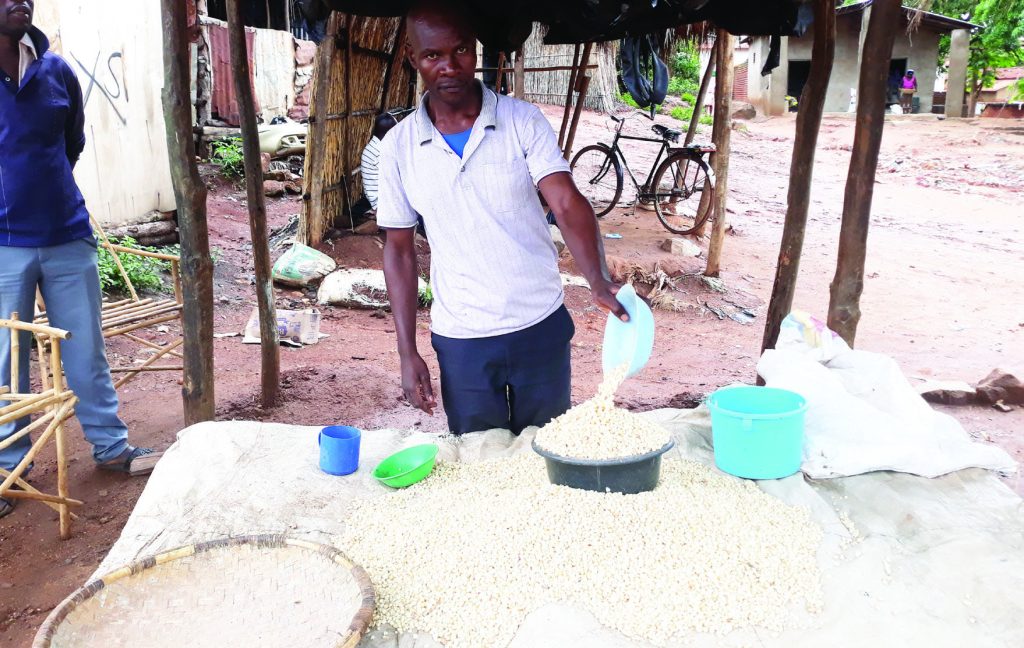 Contradictions crippling Malawi’s maize economy – The Times Group