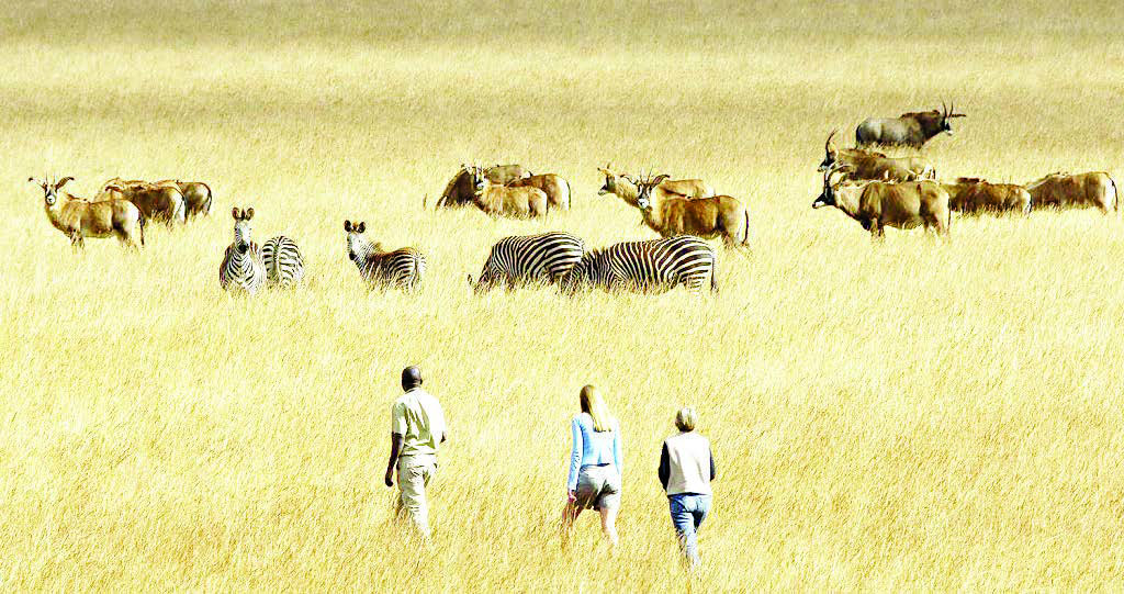 Tourism revenue up by K1 trillion – The Times Group