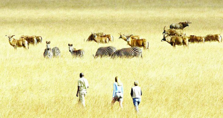 Tourism revenue up by K1 trillion – The Times Group