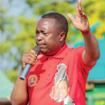 Fuel policy threatens stability, says Kabambe