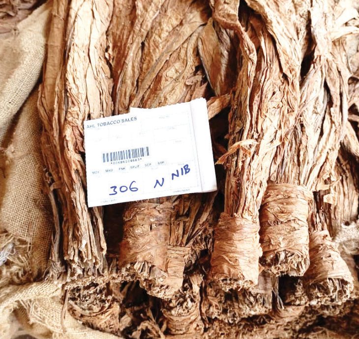 Farmers blank on leaf price as market opens – The Times Group