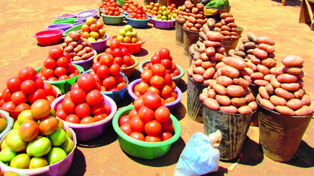 Report says food insecurity persists – The Times Group