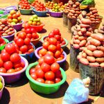 Report says food insecurity persists – The Times Group