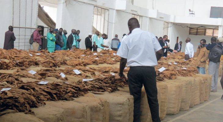 Tobacco sales in slow start