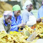 Much toil, less fortune – The Times Group