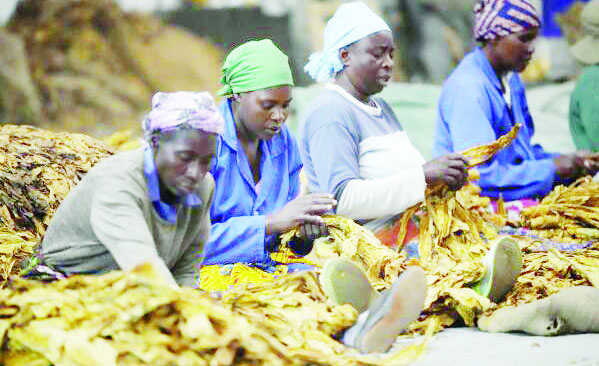 Much toil, less fortune – The Times Group