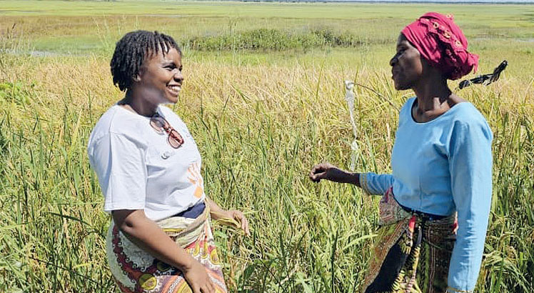 Rice sector turns to digital to ease access to markets