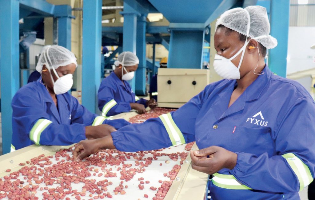 Industry gains fail to deliver jobs—report